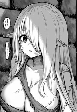Truyện tranh Boroboro no Erufu-san o shiawaseni suru kusuri uri-san
